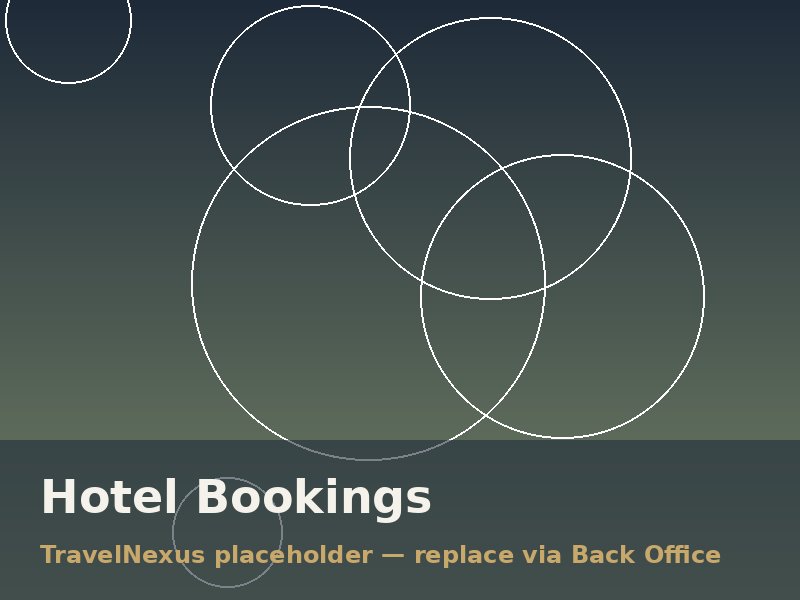Hotel Bookings